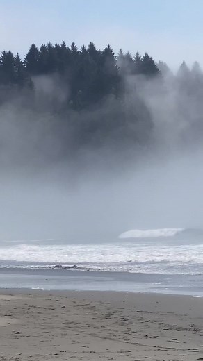 Exploring La Push Beach in Washington