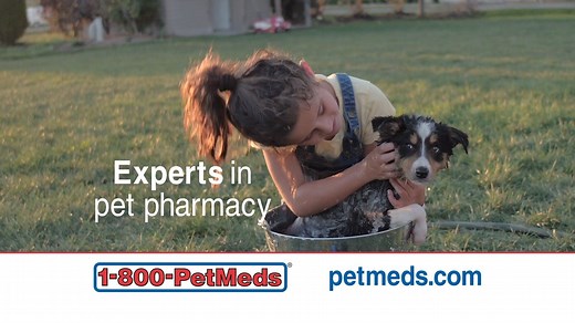 You’ll have peace of mind with the 100% satisfaction guarantee from the experts at 1-800-PetMeds, America’s most trusted pet pharmacy.🐶 Order now and save 20% off! You'll get free shipping plus a special treat for your furry friend.✨ Use code: HEART20 Click here👉 https://bit.ly/3f6OehI | iHeartDogs