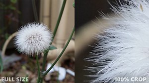 Samsung Galaxy Note 3 Review