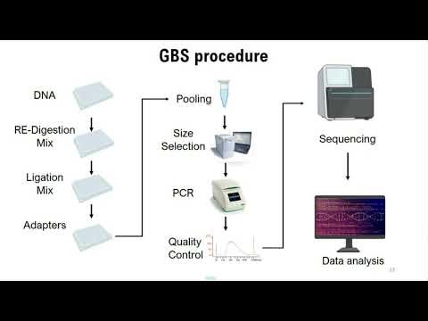 NanoGBS - A Miniaturized Procedure for Genotyping By Sequencing Library Preparation