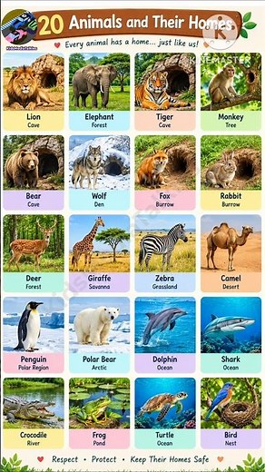 Animals 🐅And Their Homes #animalhomes #animals #learning ‎⁨‪@KidsMediaTalkies‬