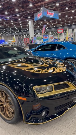 2010 Chevy Camaro-Trans Am