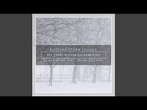 Blizzard Storm Sounds, Relaxing Winter Background, Heavy Wind and Snow Sounds
