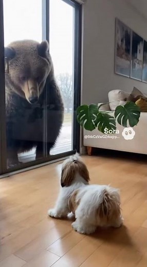 When the Door Actually Opens... he Performs the Perfect Dead-Body Technique