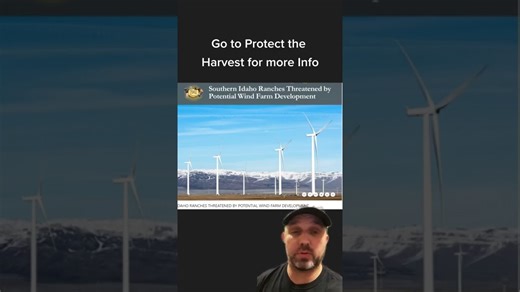 Largest Wind Farm in the U.S. – How It’s Changing the Energy Landscape!