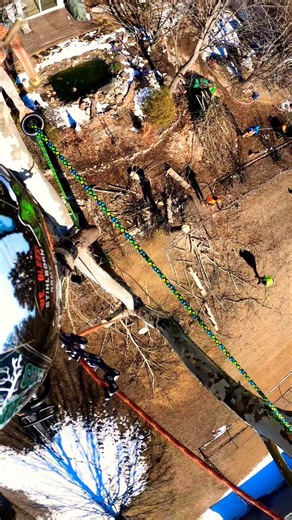 Climbing & Rigging Down A Sycamore Tree #TreeClimbing #RiggingRings #Chainsaws #Shorts #Gopro