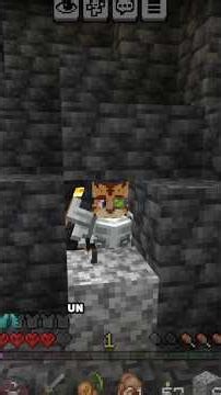 Minecraft servers have lost the essence of true survival!