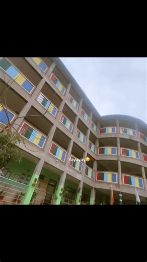 PMS School Experience and Insights
