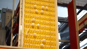 105K views · 1.9K reactions | The Nesting Farm Modern Layer Cage Farming Drone View Dr. Sharafat Ch Experience the beauty of modern layer cage farming from the sky! This drone footage captures the advanced cage systems, perfect management, and farm setup that define the future of poultry in Pakistan.  A clean, efficient, and high-performance layer farm powered by innovation and expertise. | Mubarak Poultry Services Multan | Facebook