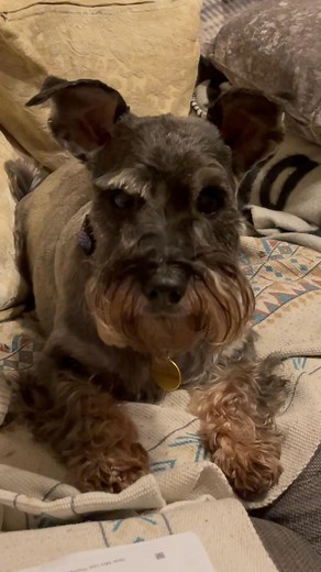 Tom Thompson on Reels