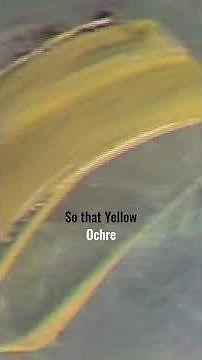 "Deep in the woods. That's where I'd like to live."