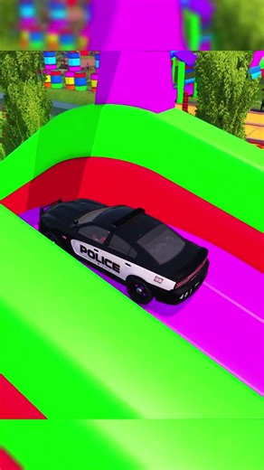 FS POLICE CAR AND FIRE TRUCK 014