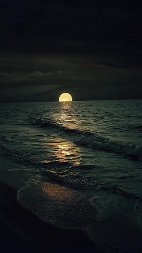 #moon #sea #nature #fyp #foryou #fypシ #tiktok #foryoupage | nature videos