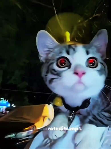 shikigami #anime #jjk #unexpectededit