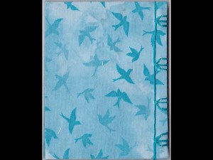 Japanese Bookbinding, Fukuro-toji: Outer Binding, Tortoise-Shell Variant