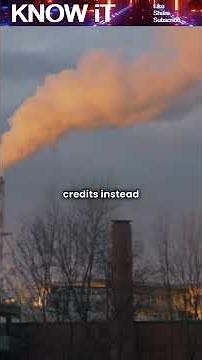 What Are Carbon Credits? 🌍♻️💨