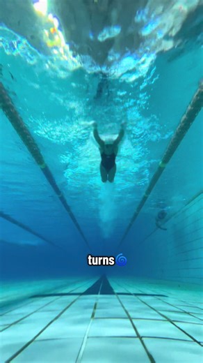 Exciting New Year Vlogs on Swim Life Adventures