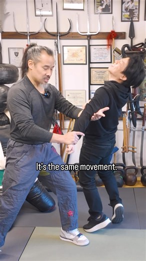 Is Tai Chi effective? I have always admire the knowledge coming out from Dr. Mark Cheng. He is definitely a golden gem! #taichi #martialarts #selfdefense #kungfu #wushu | Kevin Lee