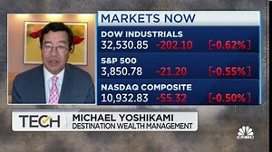 Find profitable tech companies that aren't going through a business transition, says Destination Wealth's Yoshikami