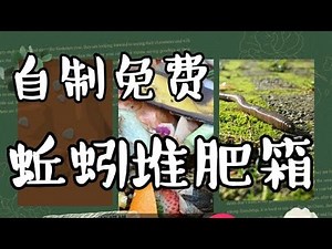 自制免费蚯蚓堆肥箱 DIY Free Earthworm Compost Bin