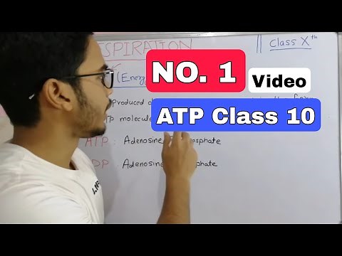 ATP (RESPIRATION) FULL CONCEPT || Chapter 6:- Life Process || Class 10th (Science).