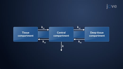 Video: Three-Compartment Open Model