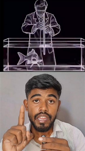Learned Helplessness fish experiment 🧠 #psychology #mindset #learnedhelplessness