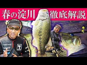 [Spring Yodogawa Bass Fishing] A thorough explanation of how to catch fish over 55cm!