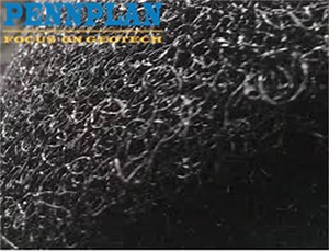 [Hot Item] 30mm Eco-Friendly Erosion Control Mat Prevent Soil Erosion for Slope Protection