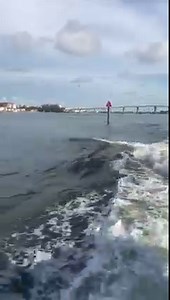 9.5K views · 330 reactions | Wow! Check out this recent video of a very largo pod of Dolphin, playing in the wake of a boat. Have you ever seen this many Dolphin at once before? . . . . Video: Sharon Ryan For Red Tide information please visit: stpetebeach.org/633/Red-Tide | St.Pete Beach, Florida | Facebook