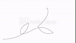 Self drawing animation of botanical leaves drawn in continuous one line art style on white background. Animated abstract plant single line drawing. Alpha channel.