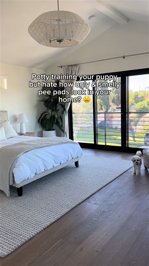 Potty training your puppy can be tough… and let’s be honest, traditional pee pads aren’t helping. They’re usually ugly, smelly, and constantly need replacing. I used to dread cleaning up accidents and the lingering smell in my home. 😫 Then I found LoveWag washable mats, and honestly, they’ve been so helpful for us! I ended up putting them all over my house. ✅ No more smell: After washing, the mats come out completely fresh, no lingering odors like disposable pads. ✅ Easy to clean: Just toss in 