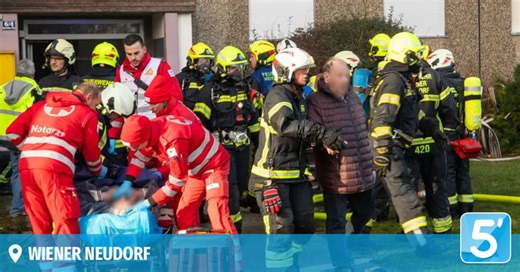Feuer in Wiener Neudorf: Feuerwehr rettet 30 Menschen & Tiere