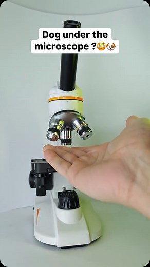 @larry.scope on Instagram: "Dog under the microscope ??🐶😳 #microscopic #wow #interessant #science #satisfying #interesting"