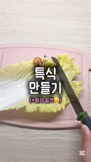 특식만들기🐌🥬(그리고 밥치우는 꿀팁🍯)#달팽이#꿀팁#달팽이 밥치우는 꿀팁#떡상떡상떡상떡상떡상떡상떡상떡상떡상떡상떡상#구독부탁합니다#좋아요댓글#예원