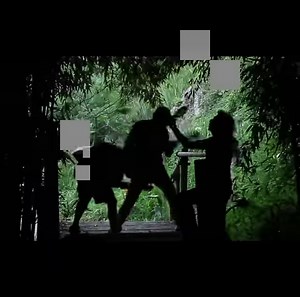 33K reactions · 12K shares | Le Trottoir d'en Face vous fait du bien ! Bienvenue dans notre univers musical, pimenté de cuivres et de poésie, des textes tantôt joyeux tantôt mélancoliques, ... Un vent de légèreté que l'on laisse volontiers souffler dans ses oreilles par les temps qui courent ! | Le Trottoir | Facebook