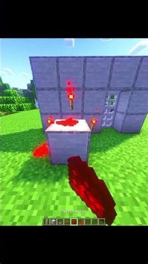 Minecraft Password Door 💀 #shorts