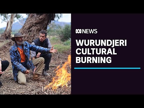 After 160 years, Aboriginal cultural burning returns to Coranderrk Station | ABC News