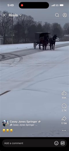 Doing donuts in a Amish wagon is crazy in the snow 🤣🤣🤦‍♂️🤦‍♂️ | Aubrey Slim Smith