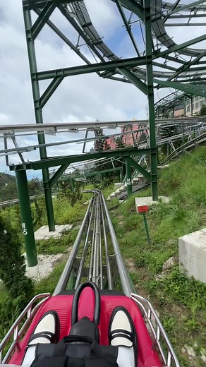 Genting Highlands Alpine Coaster: Scenic Thrill Ride