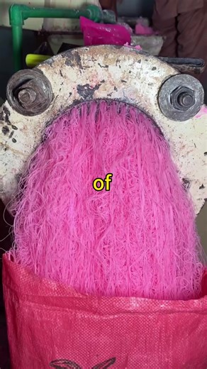 Exploring the Radioactive Wasp Phenomenon