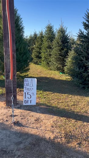 We still have beautiful Frazier Firs available and they are discounted! | Grant Christmas Tree Farm