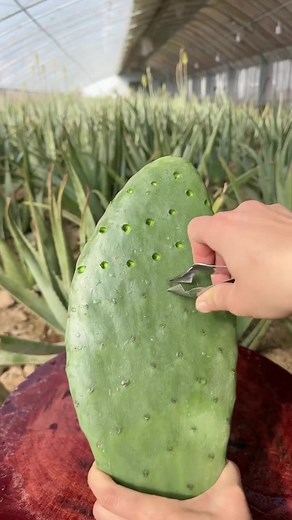 天啊！一分钟🙀#fyp