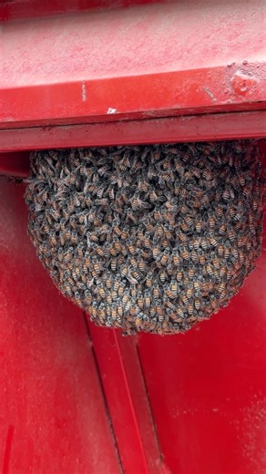 531K views · 19K reactions | Kia krna chahiy | Jahanzaib Rasheed | Facebook