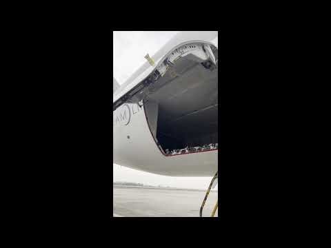 How to Open the Cargo Door of Boeing 787 | Aviation Tutorial