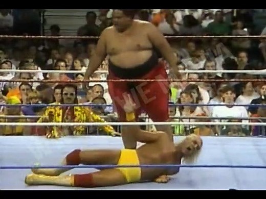 Hulk Hogan vs Yokozuna - King of the ring 1993