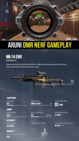 Aruni's DMR Nerf Gameplay