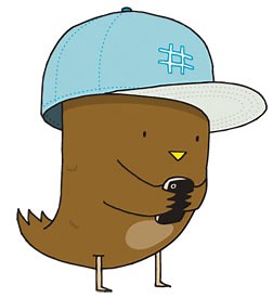 Brown Twitter Bird | Know Your Meme