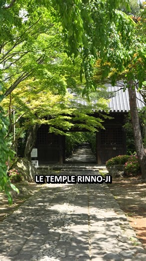 Que faire à Sendai ? Sendai est une grande ville très animée avec une belle ambiance, mais on connaît assez mal ses endroits à visiter : beaucoup pensent qu'il n'y a rien à voir à Sendai ! Je vous propose donc de découvrir 3 belles visites à faire à Sendai ! 📍 Le temple Rinno-ji 📍 Bunka Yokocho (et le restaurant Koban-zushi) 📍 Les chutes d'Akiu | Ichiban Japan, documentaire sur le Japon