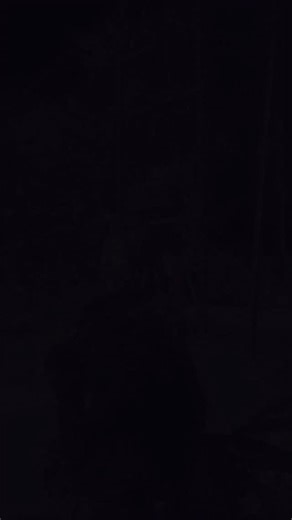 KITTU..👀🤍 | 💀 | Instagram